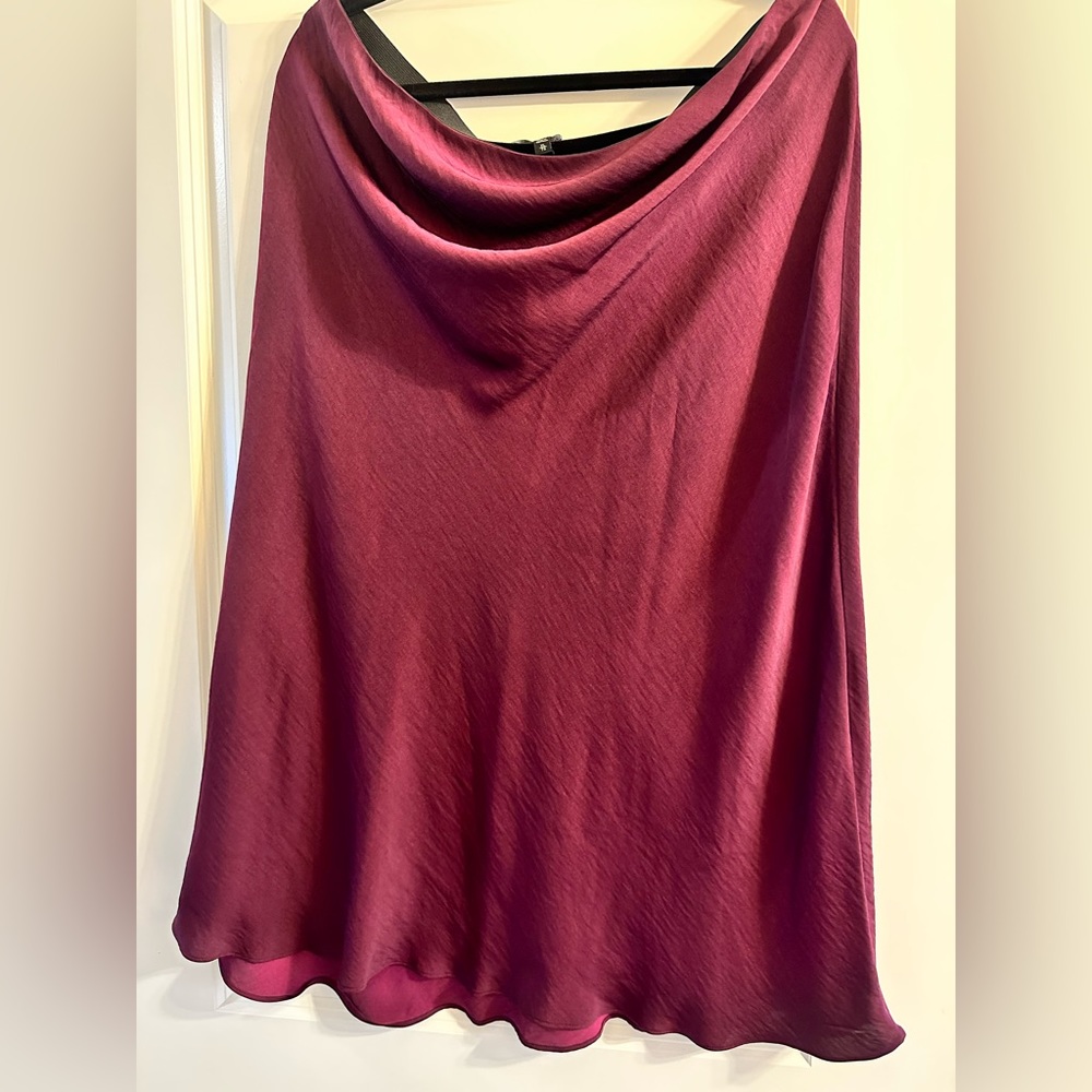 NWT Express midi skirt
